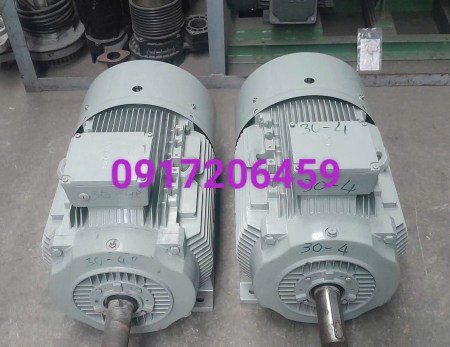 dong-co-dien-22kw-simens