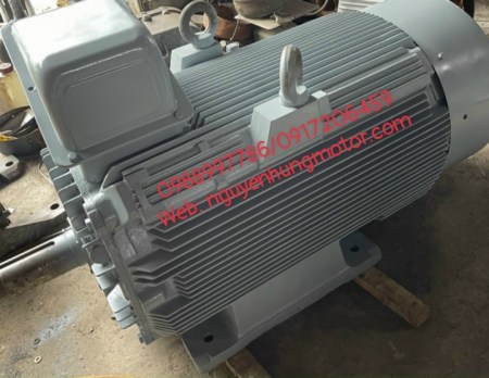 dong_co_dien-200kw-960