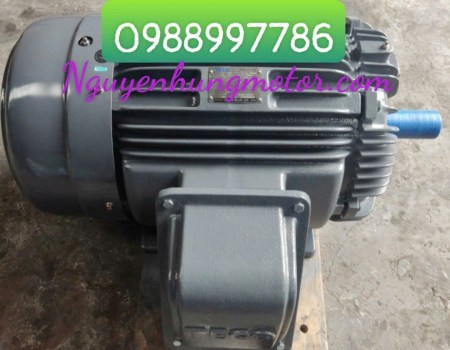 motor-132kw-4p