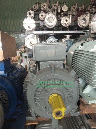 motor_teco_55kw